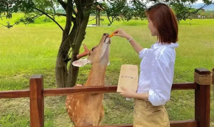 1704775264139001.png image.png