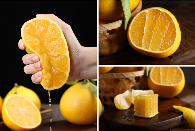 1734946087877915.png image.png