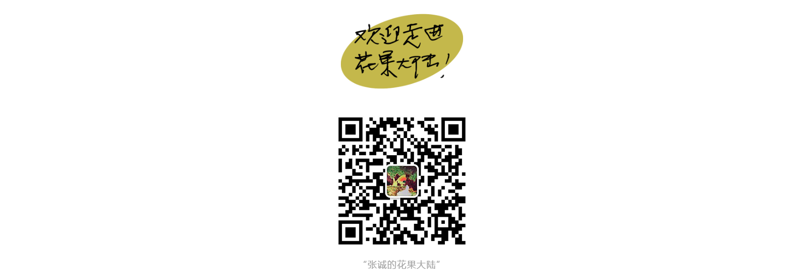 1732265392829621.png
