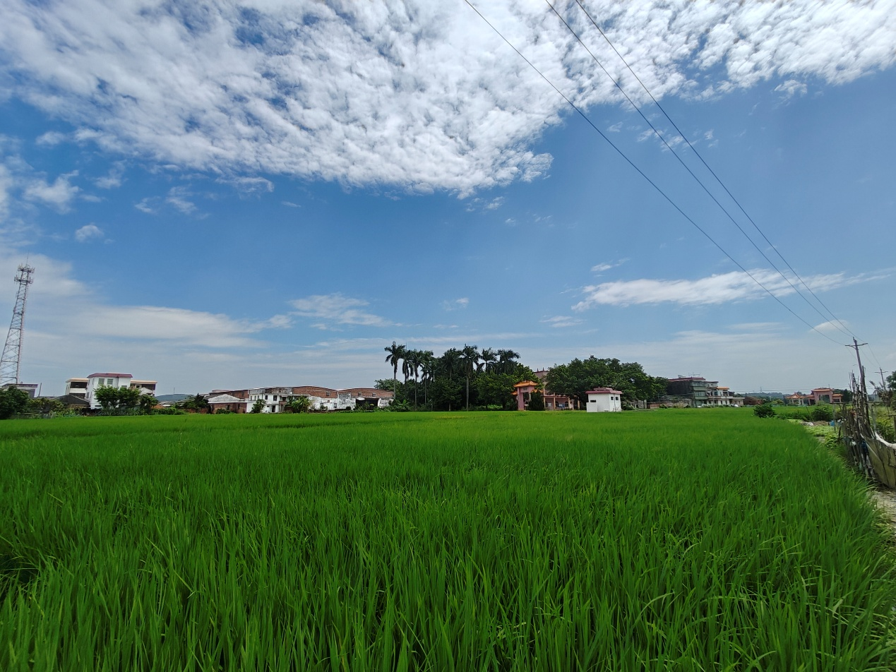 1763728593390840.png 微信图片_2025-11-21_203306_566.png