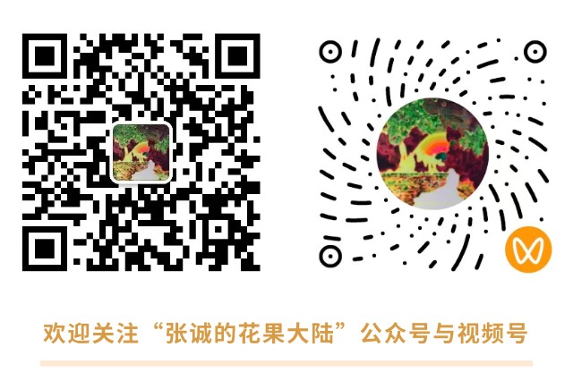 1774406248992688.jpg show_682161371_1772071421362.jpg